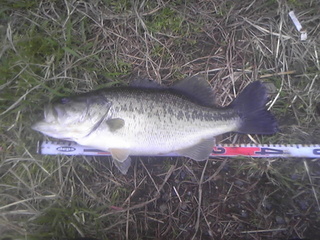 120421_172043.jpg
